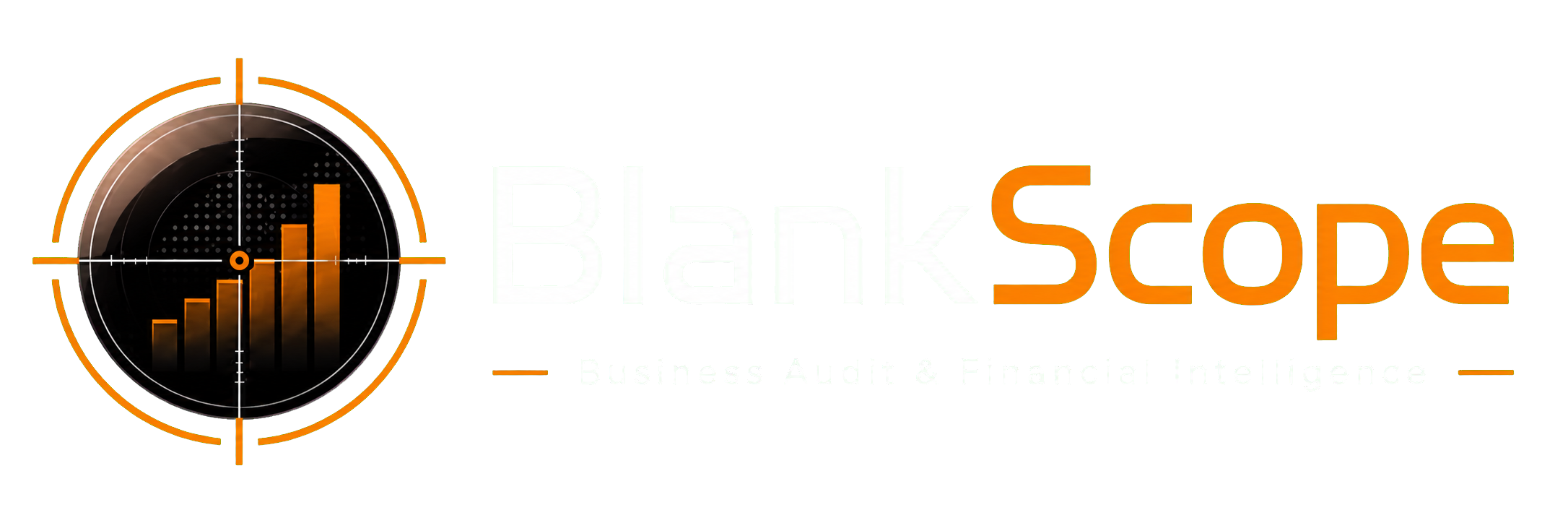 Blank Scope – Business Audit & Financial Intelligence